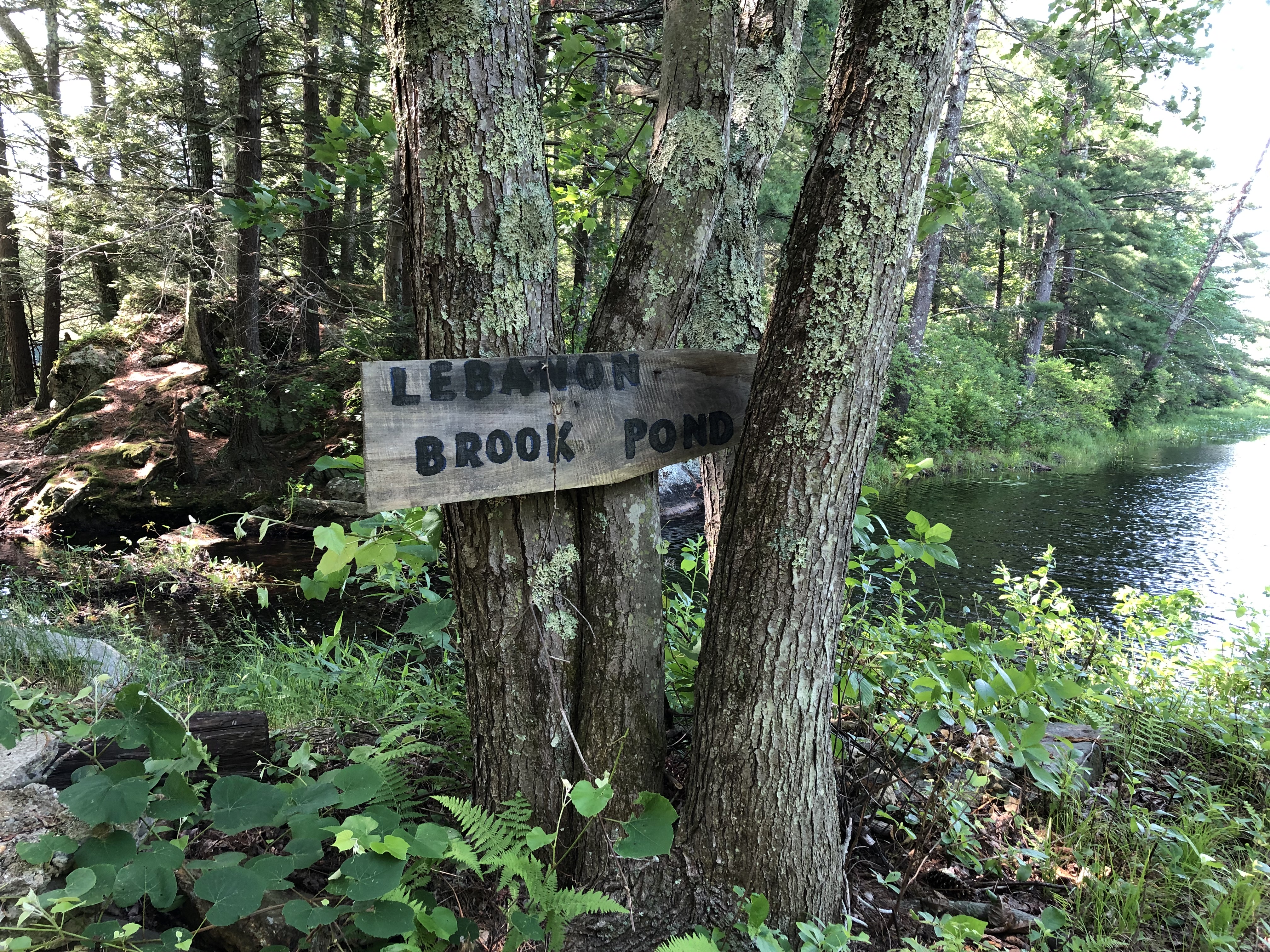 "Lebanon Brook Pond" on one of the 9 properties to be protected via the Forest Legacy Program.